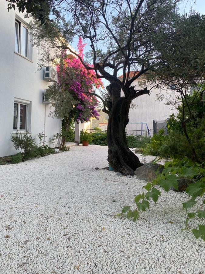 Olive Garden Apartments Poljica  Kültér fotó